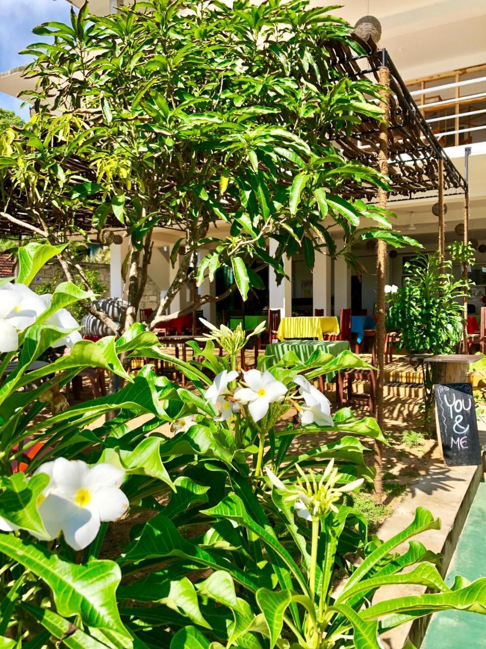 Coppenrath Hostel Tangalle Zewnętrze zdjęcie